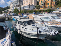 Pičuljan Rab 720 SF