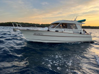 Prodaje se ACM 31 ELITE