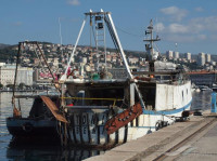 PRODAJE SE RIBARSKI BROD-KOĆA SA SVIM POVLASTICAMA I ZONAMA(OSIM E)