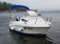 Quicksilver flamingo 430 cabin