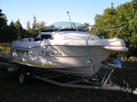 QUICKSILVER 450 Cabin