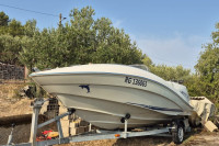 Quicksilver 505  - Mercury 75