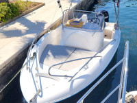 Quicksilver 555 Commander