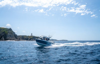 QUICKSILVER 705 PILOTHOUSE (AKCIJA!!!) PROMO CIJENA