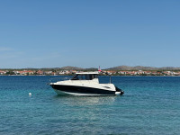 Quicksilver 855Activ