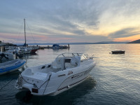 Quicksilver Flamingo 620