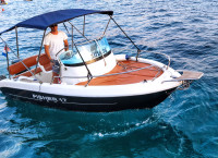 FISHER 17 SUNDECK + EVINRUDE 75 HP