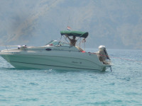 RINKER FIESTA VEE - 242