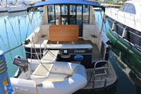 SAS VEKTOR ADRIANA 36 (2011)