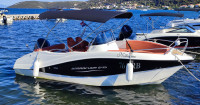 Barracuda 545