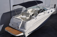 Sea Ray 260 Sundancer Pronautika***SNIŽENA CIJENA***