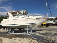 Sea Ray 290 Sundancer