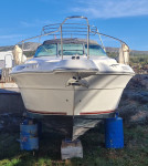 SEA RAY 300