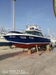SEA RAY 8 metara