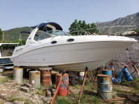 Sea Ray Sundancer 260