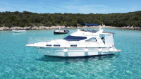 SEALINE 310 FLY HITNO AKCIJA