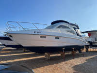 Sealine F34