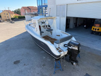 Sessa Marine Dorado 20’ + Suzuki 115 !SNIŽENO 4.000€!