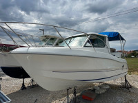 Sessa 650 Ocean Brod