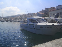 SESSA DORADO 26 uvoz švicarska 2020 svi ser. uredni  spreman za sezonu