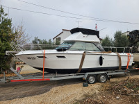Sea ray sdb 240
