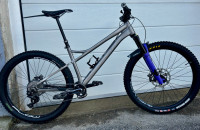 Banshee Enigma, L velicina, Mullet