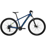Bicikl Bergamont Revox 3