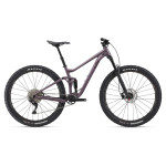 Bicikl LIV Embolden 29 2 Purple Ash — AKCIJA 20%
