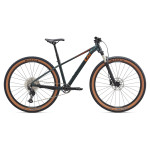 Bicikl LIV Tempt 29 0 Asphalt Green — AKCIJA 20%
