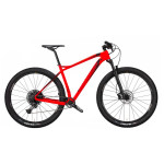 Bicikl Wilier 101X XT 1X12