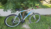 Bottecchia Fx510