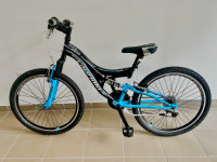 CAPRIOLO CTX 240, BRDSKI M, 26”