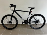 CAPRIOLO OXYGEN, BRDSKI M, 26”