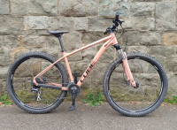 Cube ACCESS WS EAZ blush´n´silver 2023.