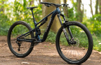Polygon COLLOSUS T5 29"