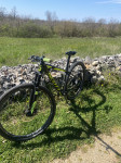 Scott scale carbon