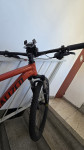 Specialized Rockhopper Comp 29"