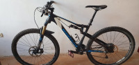 WHEELER 29  Carbon