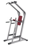 LIFE FITNESS SIGNATURE CHIN - DIP - LEG RAISE  750€