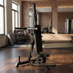 Sprava za ramena Toorx FWX 6490
