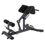 Sprava Toorx Back extension WBX 2600