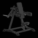 Sprava Toorx Lateral Raise FWX 6500