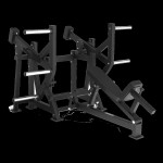 Sprava Toorx Lower back FWX 6900