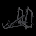 Sprava Toorx Olympic inclined bench WBX 3800