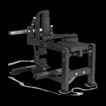 Sprava Toorx Seated Calf FWX 7800