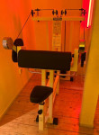 TECHNOGYM ISOTONIK ARM CURL