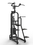 TECHNOGYM SELECTION BLACK LINE ASSIST CHIN DIP