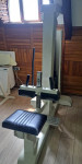 V-GYM  PROFI LINE  SEATED CALF