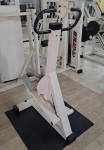 V - GYM  STEPER   250€