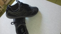 Cipele  Skechers